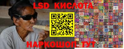 гашик Можга