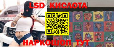 PSILOCYBIN Нальчик