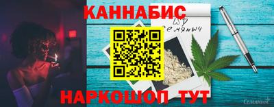 гашик Можга