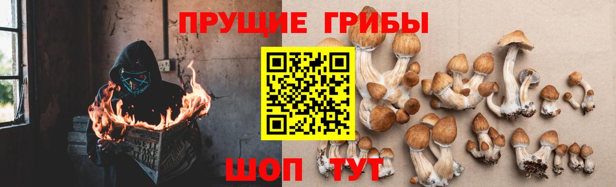 Галлюциногенные грибы Magic Shrooms  Галлюциногенные грибы Psilocybine cubensis  Владивосток  Вход с VPN 